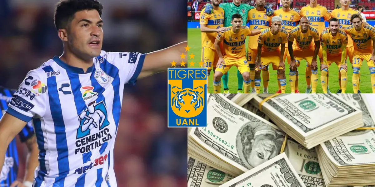 A Tigres le urge un delantero y Nicolás Ibáñez le llena el ojo a la directiva