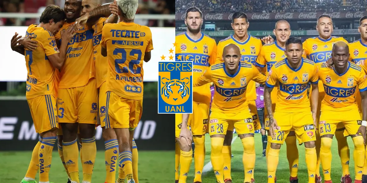 Afortunadamente son felinos, y son los mejores en su posición