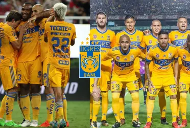 Afortunadamente son felinos, y son los mejores en su posición