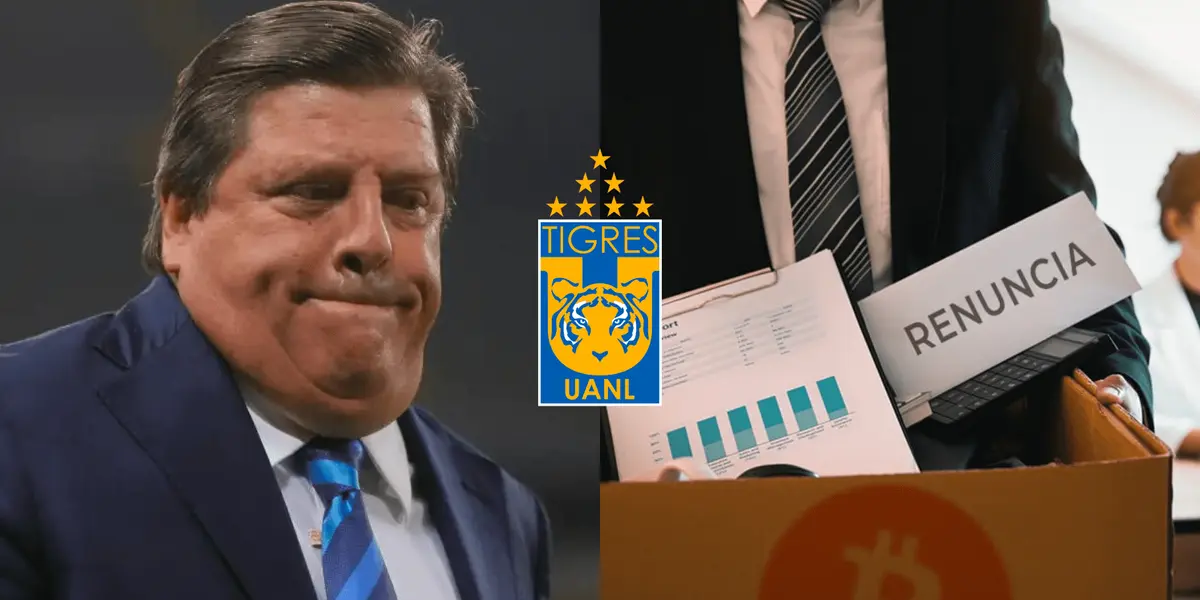 Ahora entienden porque los resultados de los felinos no son buenos