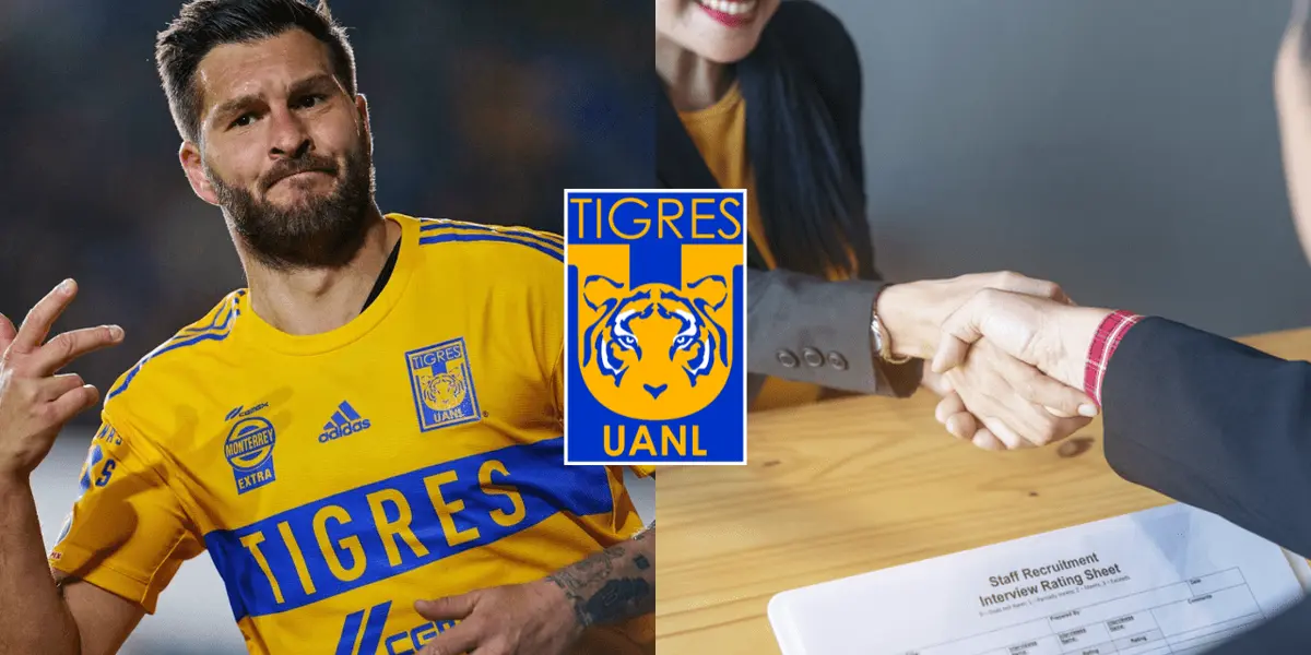 André-Pierre Gignac dejaría Tigres próximamente y ahora se revela cuánto podría ganar una vez deje la UANL.