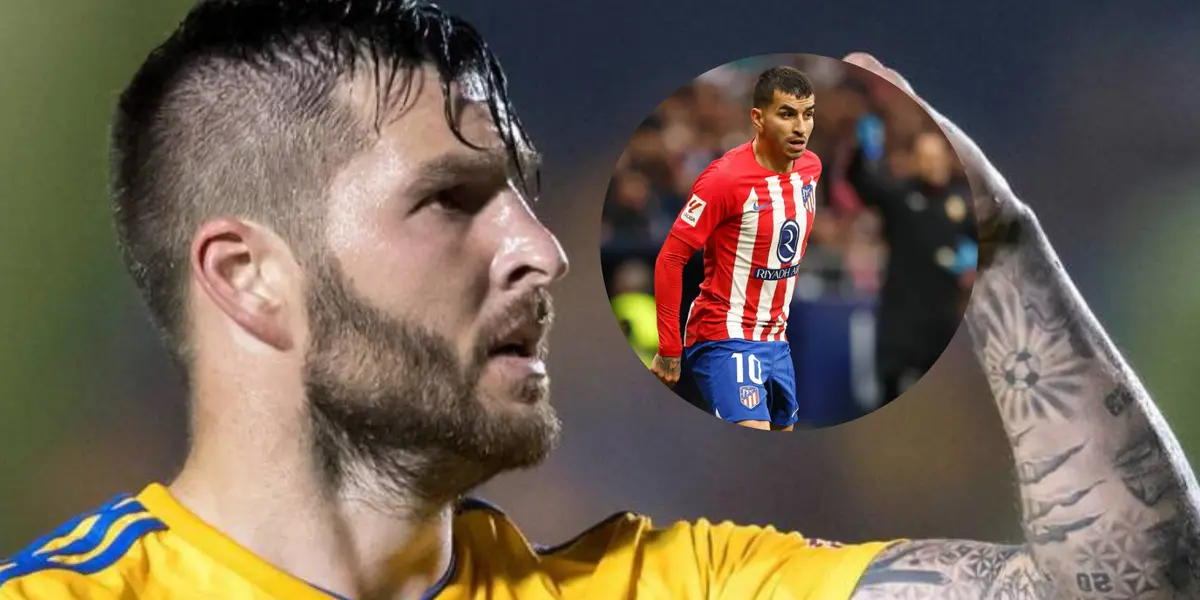 André-Pierre Gignac espera por Ángel Correa Foto: Tigres UANL y Transfermarkt