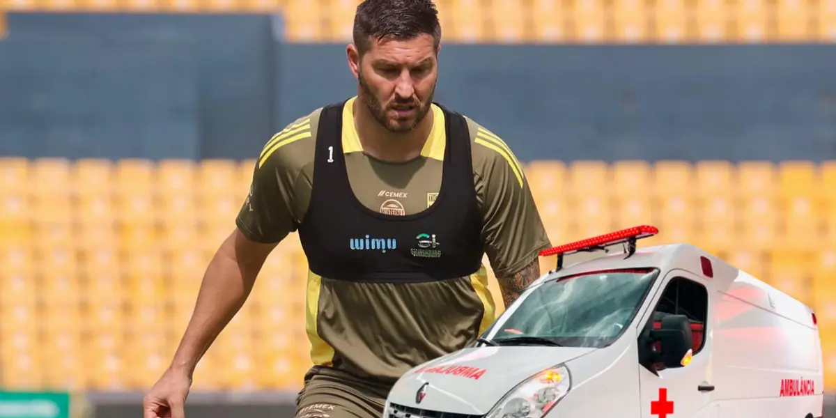 André Pierre Gignac Foto: Club Tigres y Pexels