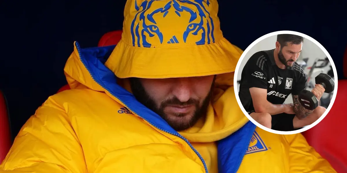 André-Pierre Gignac Foto: Tigres UANL