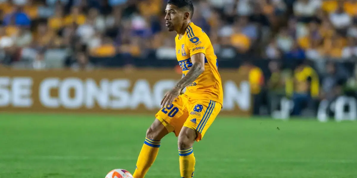 Aquino llegó a Nuevo León en 2015 y está a un paso de hacer historia felina / Foto: MedioTiempo