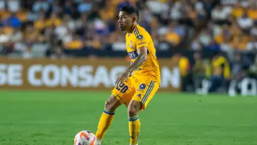 Aquino llegó a Nuevo León en 2015 y está a un paso de hacer historia felina / Foto: MedioTiempo