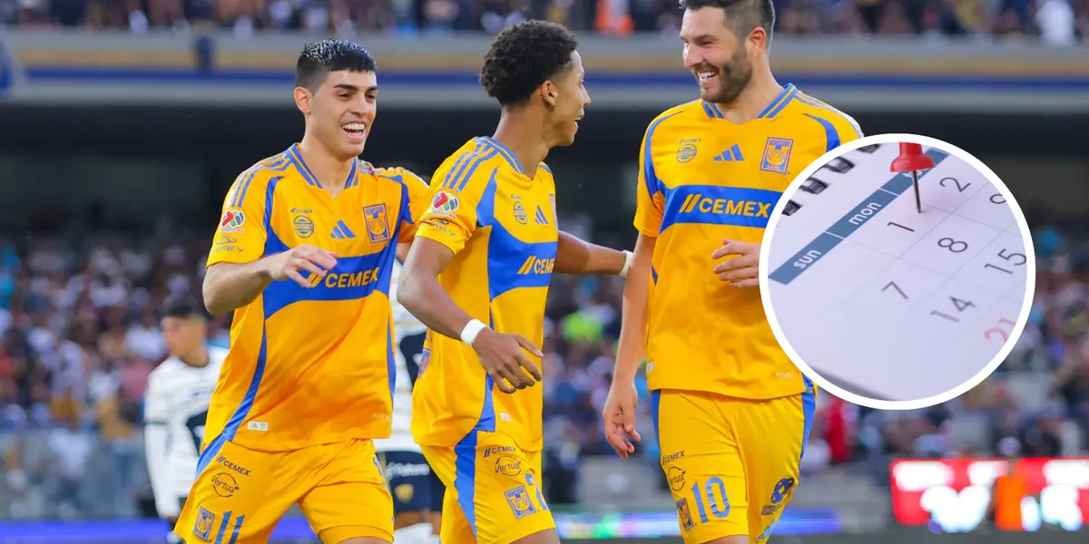 Club Tigres Foto: TV Azteca y Pexels