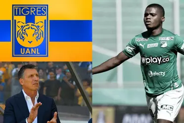 Con la salida del "Diente" López, los Tigres están en búsqueda de un refuerzo que pueda cubrir su lugar