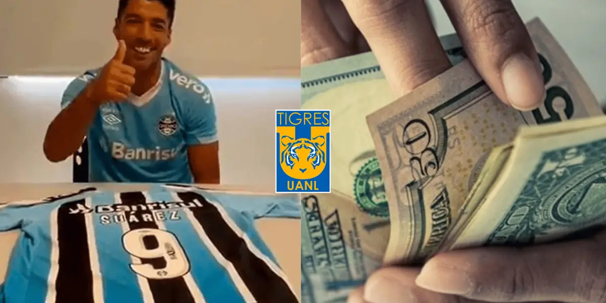 Despreció a Tigres y ahora no lo quieren en Brasil