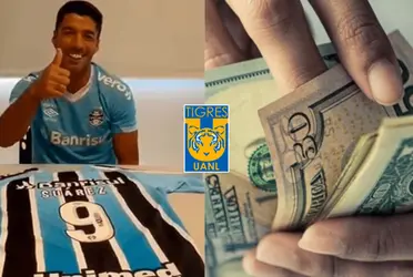 Despreció a Tigres y ahora no lo quieren en Brasil