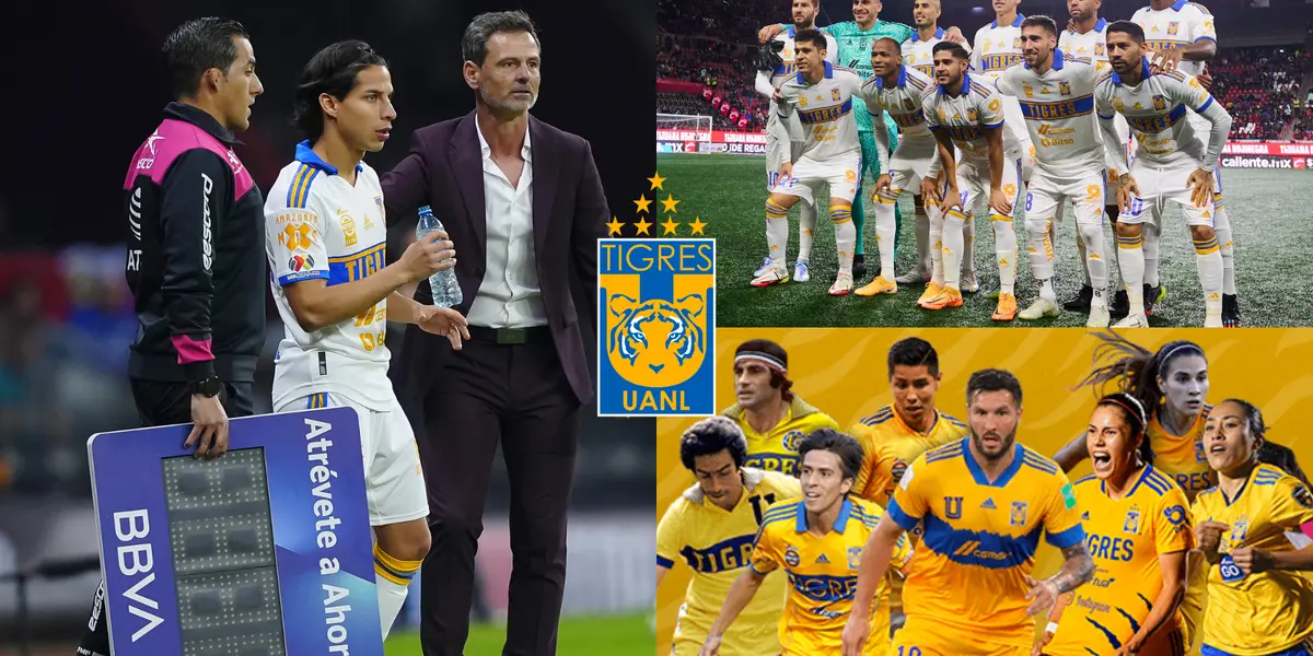 Diego Cocca llegó a Tigres con la encomienda de regresar al equipo a la senda del triunfo
