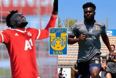 El ecuatoriano fue el gran fracaso de Tigres la temporada pasada