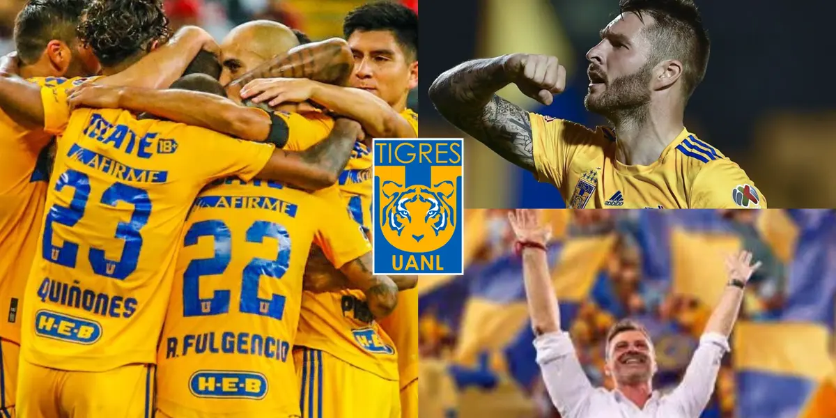 El entrenador ha caído como anillo al dedo a Tigres y así lo está demostrando