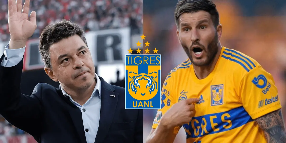 El estratega argentino Marcelo Gallardo está sonando muy fuerte para tomar las riendas de Tigres