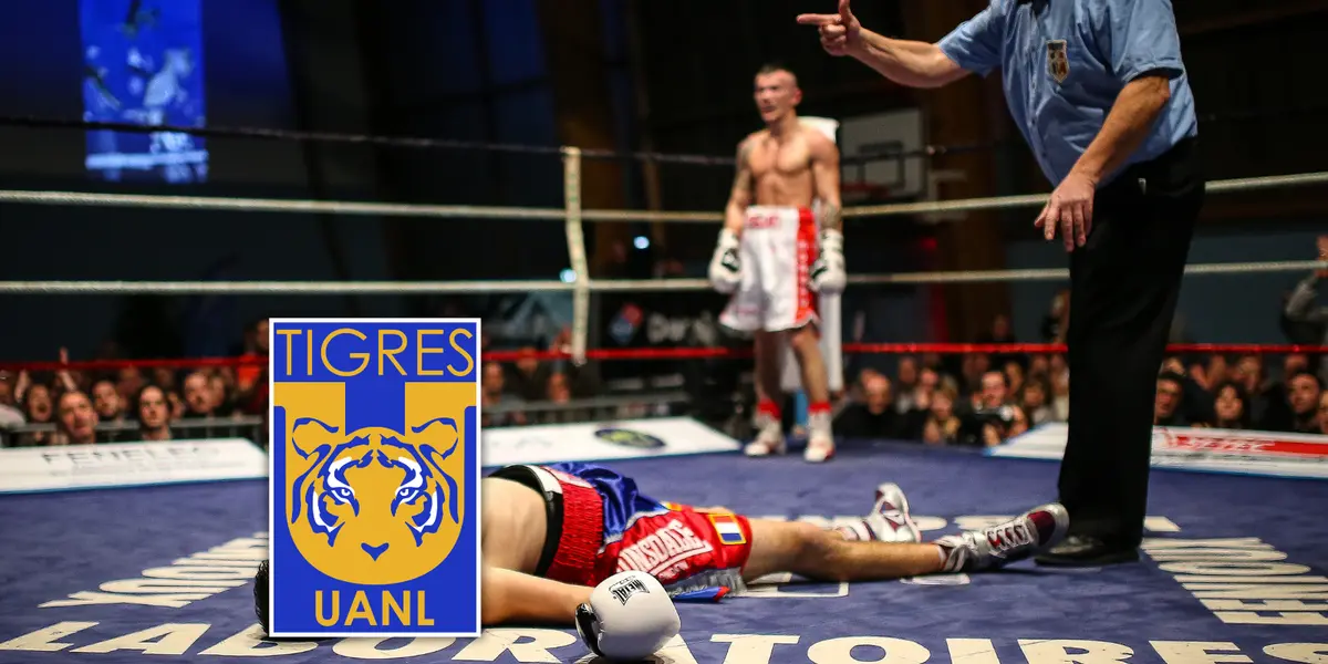 El golpe bajo que recibió Tigres de uno de sus ex jugadores Foto: Escudoteca y Pexels