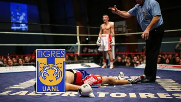 El golpe bajo que recibió Tigres de uno de sus ex jugadores Foto: Escudoteca y Pexels