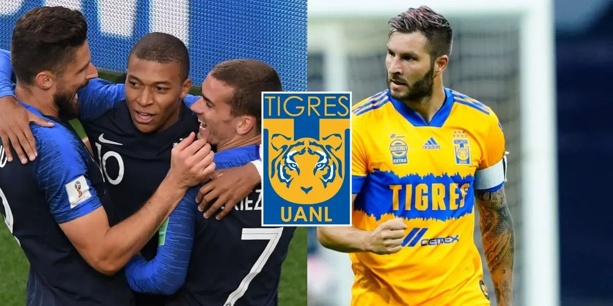 El jugador francés que brilla en Qatar y gracias a Gignac luciría la playera de Tigres