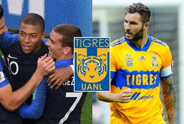 El jugador francés que brilla en Qatar y gracias a Gignac luciría la playera de Tigres