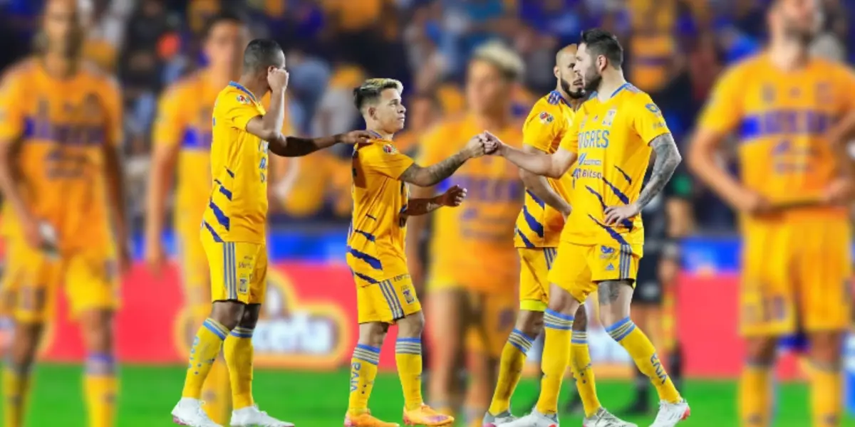 Este jugador no pudo demostrar su talento en Tigres, pero ahora brilla con su selección