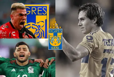 Este nuevo elemento de Tigres viene con cartel de goleador