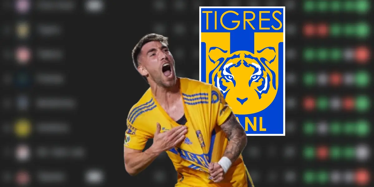 Fernando Gorriarán con Tigres / Foto: Google / Mexsport