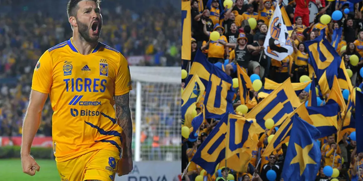 Gignac no quiere salir de Tigres, y eso que le han ofrecido bastante dinero para jugar en otros equipos