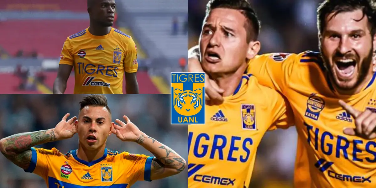 Gignac tiene claro a quien quiere como compañero en la delantera felina