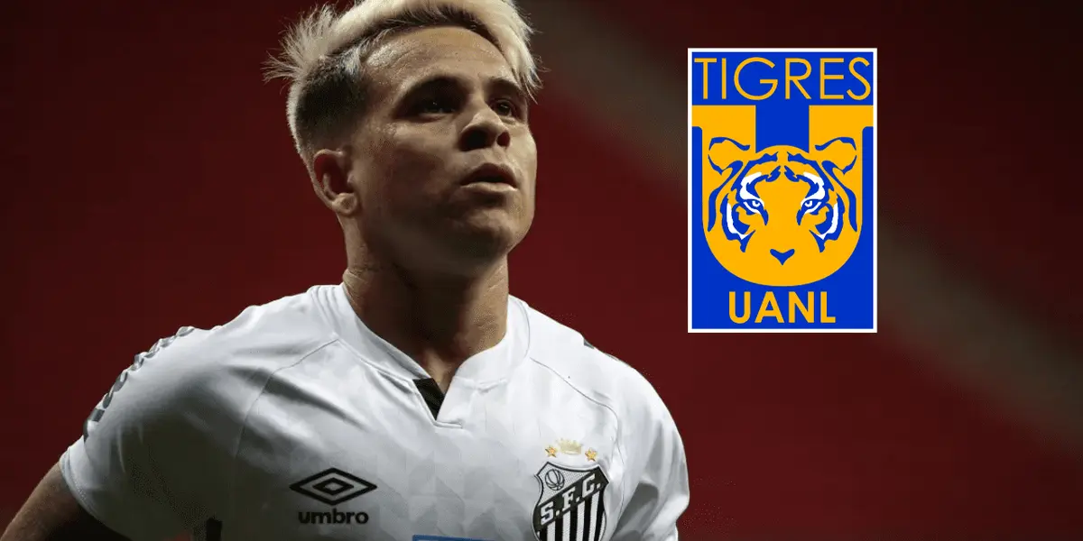 La afición agradece que Soteldo haya dejado de ser jugador de Tigres, y más aún viendo la última ‘regada’ que acaba de hacer el venezolano.