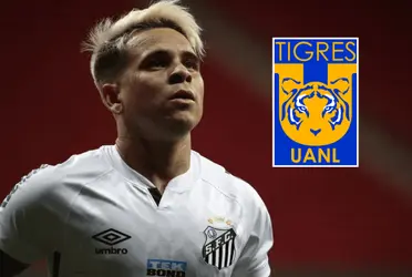 La afición agradece que Soteldo haya dejado de ser jugador de Tigres, y más aún viendo la última ‘regada’ que acaba de hacer el venezolano.