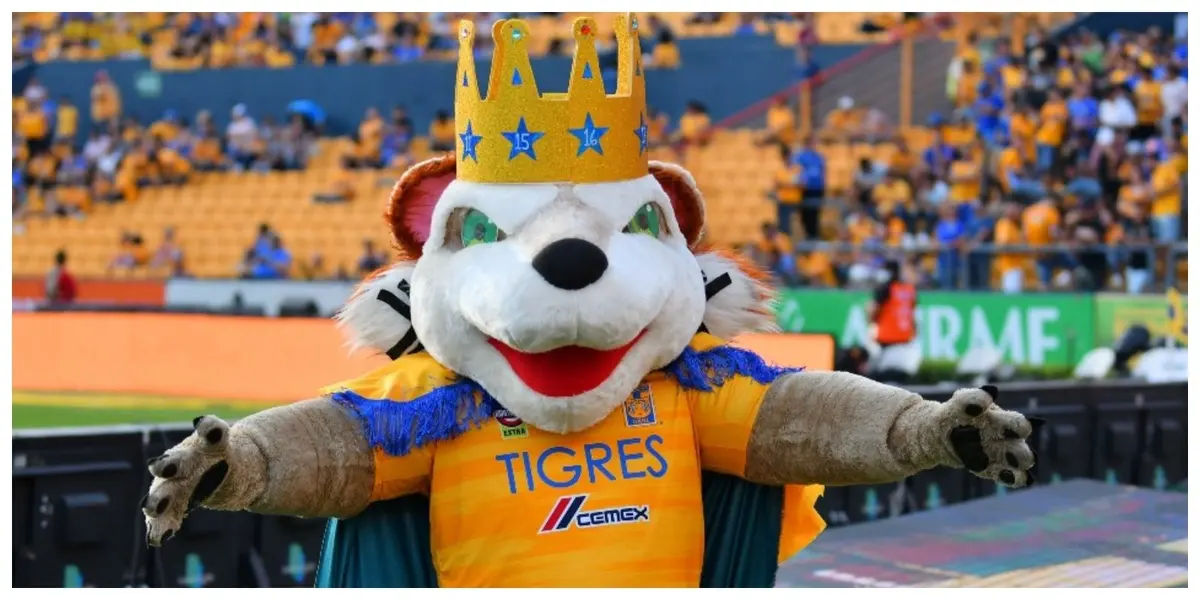 La estrella de Tigres que paso de jugar en Liga MX a trabajar como botarga