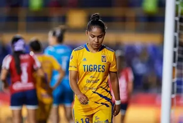 La Federación podría multar a las Tigres por esta razón.