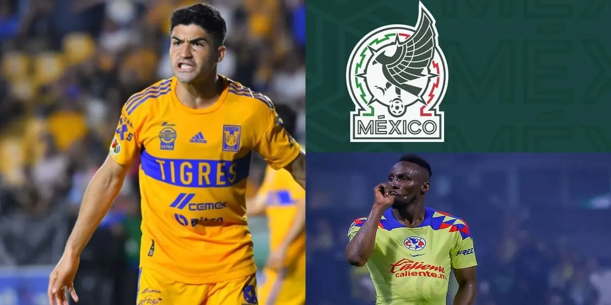 La razón por la que Torres quiere a Ibáñez en la selección.