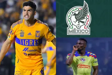 La razón por la que Torres quiere a Ibáñez en la selección.