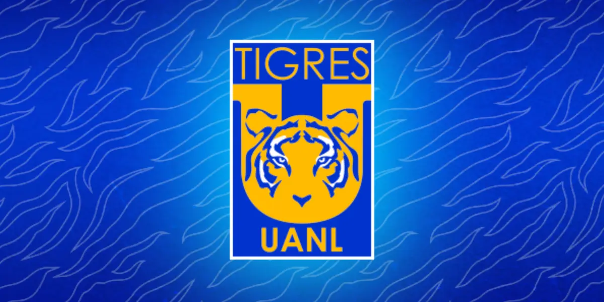 Las curiosidades felinas de un torneo a otro / Foto: Tigres