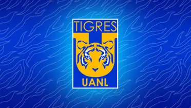 Las curiosidades felinas de un torneo a otro / Foto: Tigres