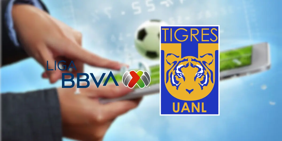 Liga MX Foto: Tecnogus y Escudoteca