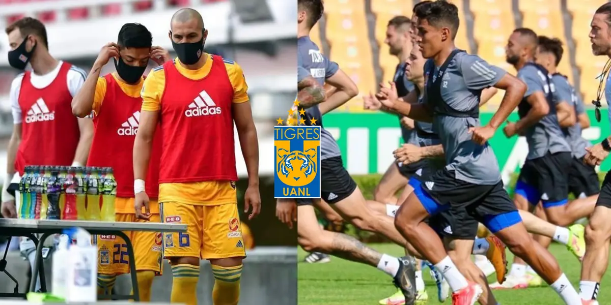 Llegó como fichaje de último momento Y se está convirtiendo en ídolo con los Tigres