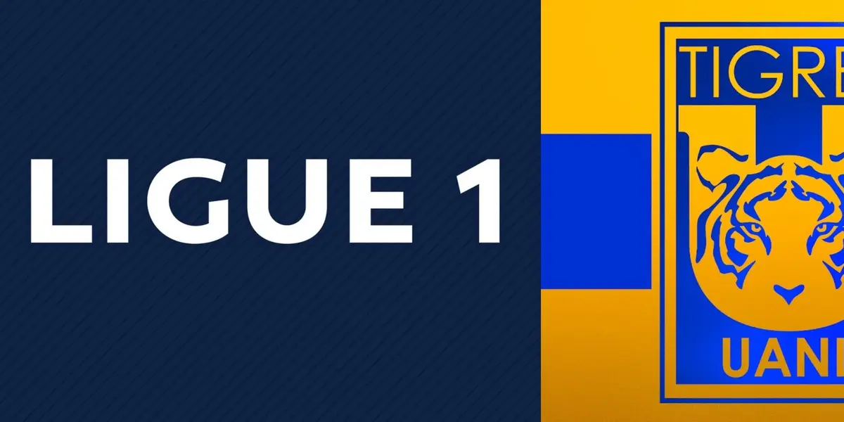 Lo recibieron mucho mejor que en casa