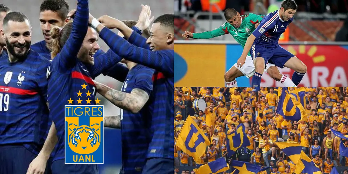 Los ‘Eurotigres’ están a todo lo que dan en redes sociales