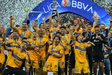 Los felinos están acostumbrados a alzar títulos, sin embargo, en esta ocasión es más marcada la tendencia su favor