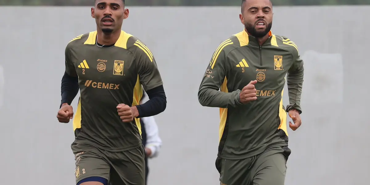 Los felinos ya estarían buscando al jugador que ocupe el lugar del brasileño