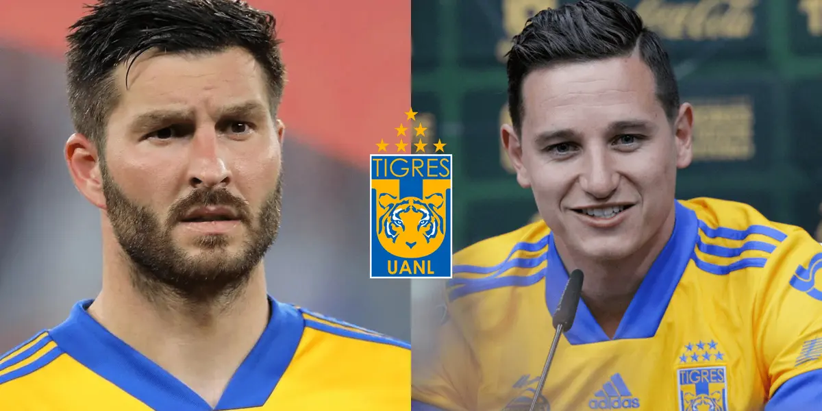 Los franceses pueden ser separados en enero, Thauvin se iría de Tigres