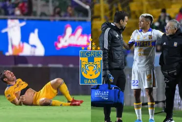 Los jugadores pertenecen a Tigres, pero están alejados de las canchas