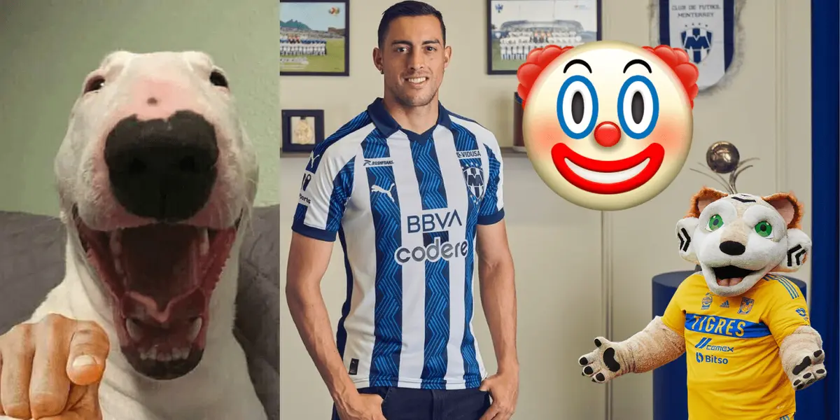 Los pingüinos buscan igualarnos, pero ni volviendo a nacer podrían ser mejor que nosotros