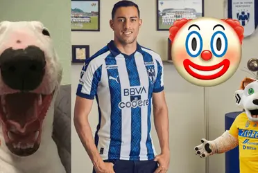 Los pingüinos buscan igualarnos, pero ni volviendo a nacer podrían ser mejor que nosotros