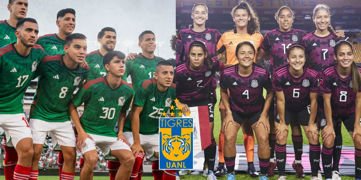 Martino no quiere nada con los Tigres varoniles y prefiere no convocarlos