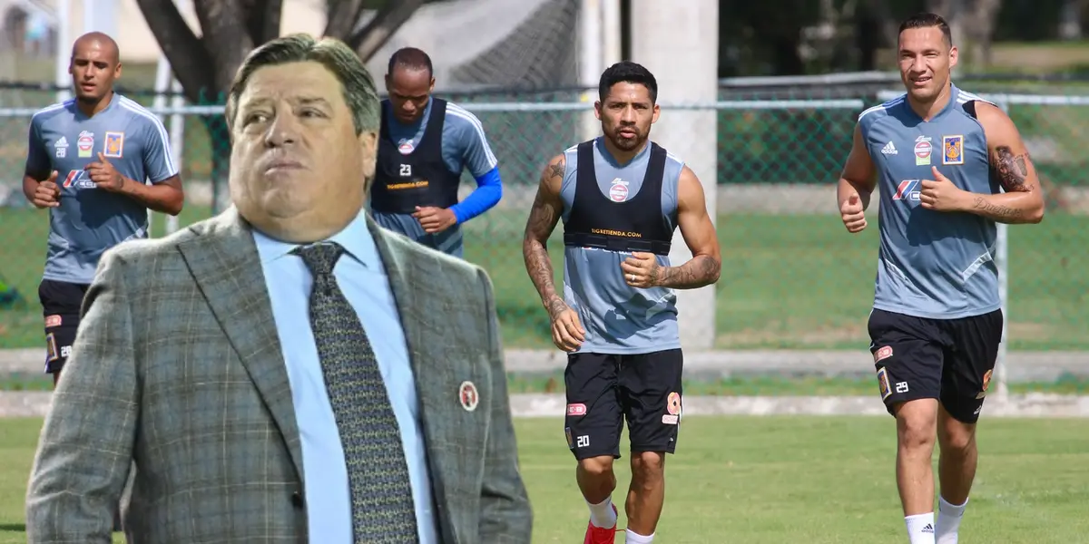 Miguel Herrera, Tigres (FUENTE: Tigres UANL/El Financiero)