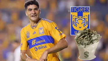 Nico Ibañez Foto: Tigres UANL, Pexels y Escudoteca