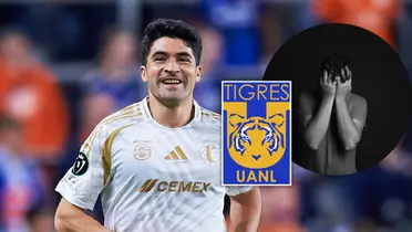 Nicolás Ibáñez Foto; Tigres UANL, Pexels y Escudoteca