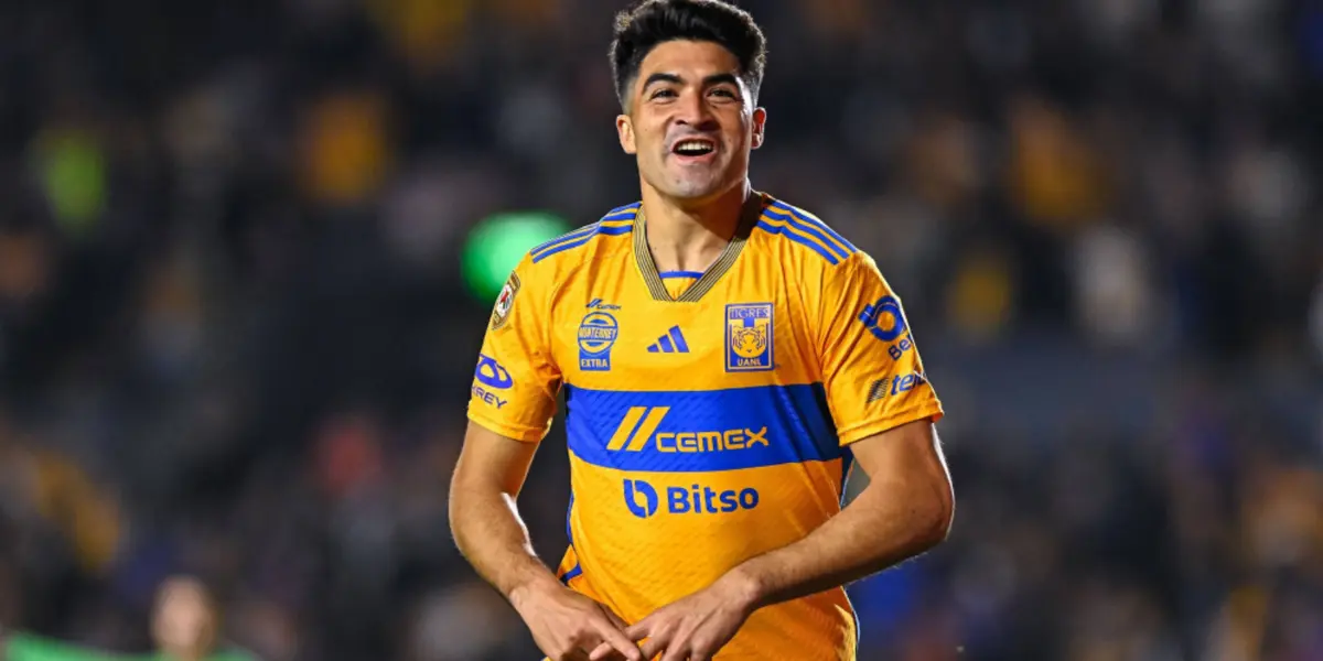 Nicolás Ibáñez Foto: Transfermarkt